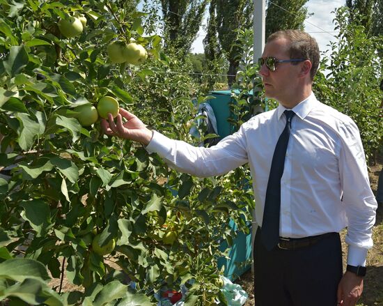 Russian Prime Minister Dmitry Medvedev's working visit to Southern Federal District