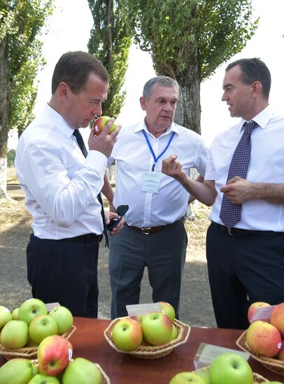 Russian Prime Minister Dmitry Medvedev's working visit to Southern Federal District