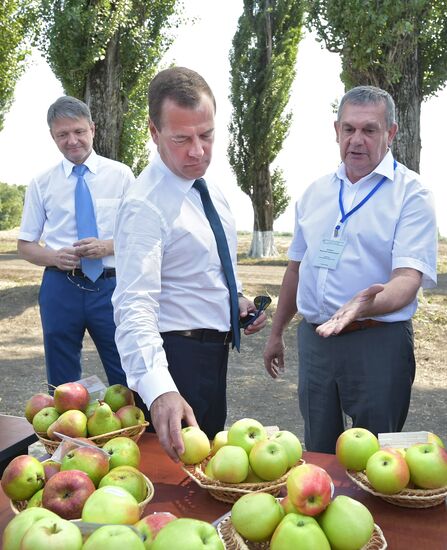 Russian Prime Minister Dmitry Medvedev's working visit to Southern Federal District