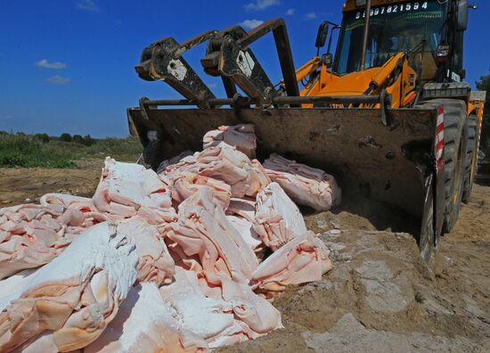 Destruction of sanctioned goods in Kaliningrad