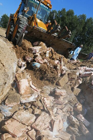 Destruction of sanctioned goods in Kaliningrad