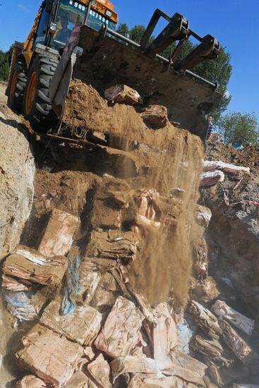 Destruction of sanctioned goods in Kaliningrad