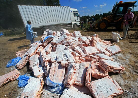 Destruction of sanctioned goods in Kaliningrad