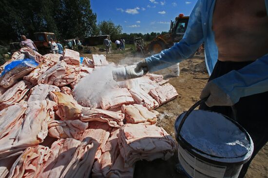 Destruction of sanctioned goods in Kaliningrad