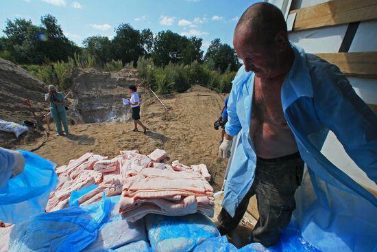 Destruction of sanctioned goods in Kaliningrad