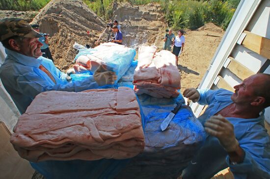 Destruction of sanctioned goods in Kaliningrad