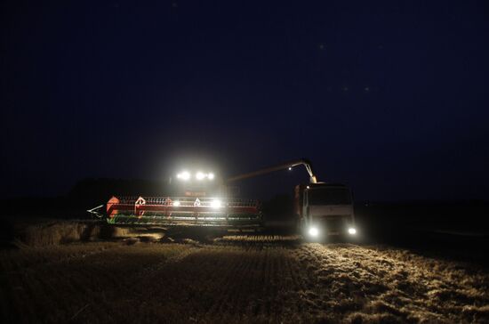 Harvesting grain in Belarus