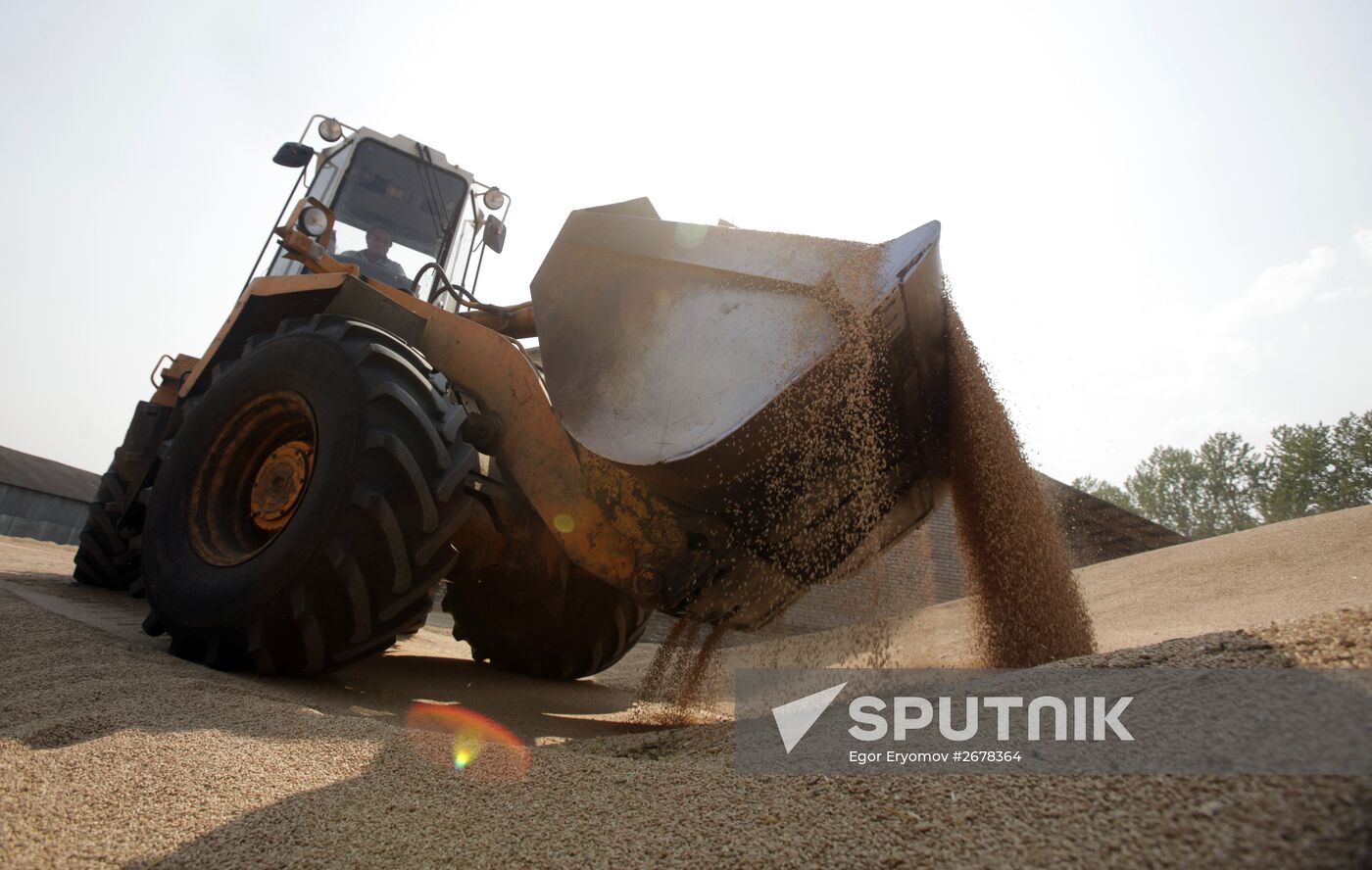 Harvesting grain in Belarus