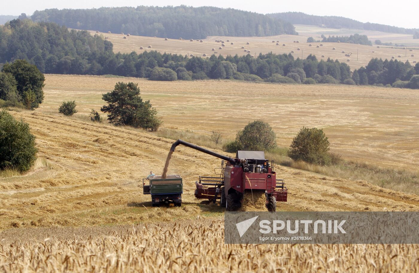 Harvesting grain in Belarus