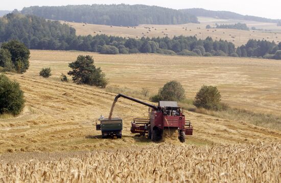 Harvesting grain in Belarus