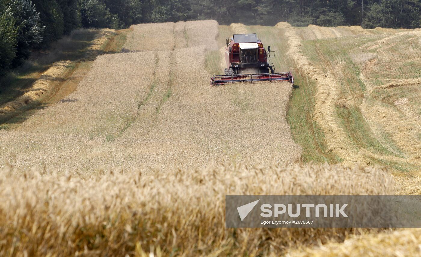 Harvesting grain in Belarus