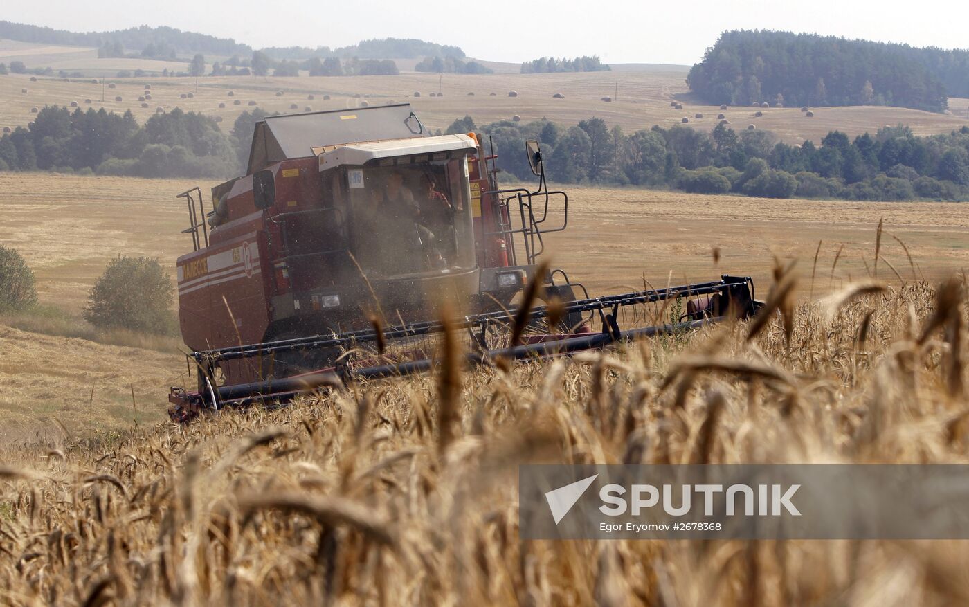 Harvesting grain in Belarus