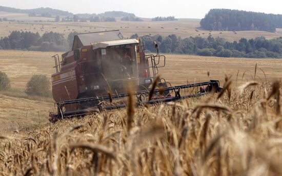 Harvesting grain in Belarus