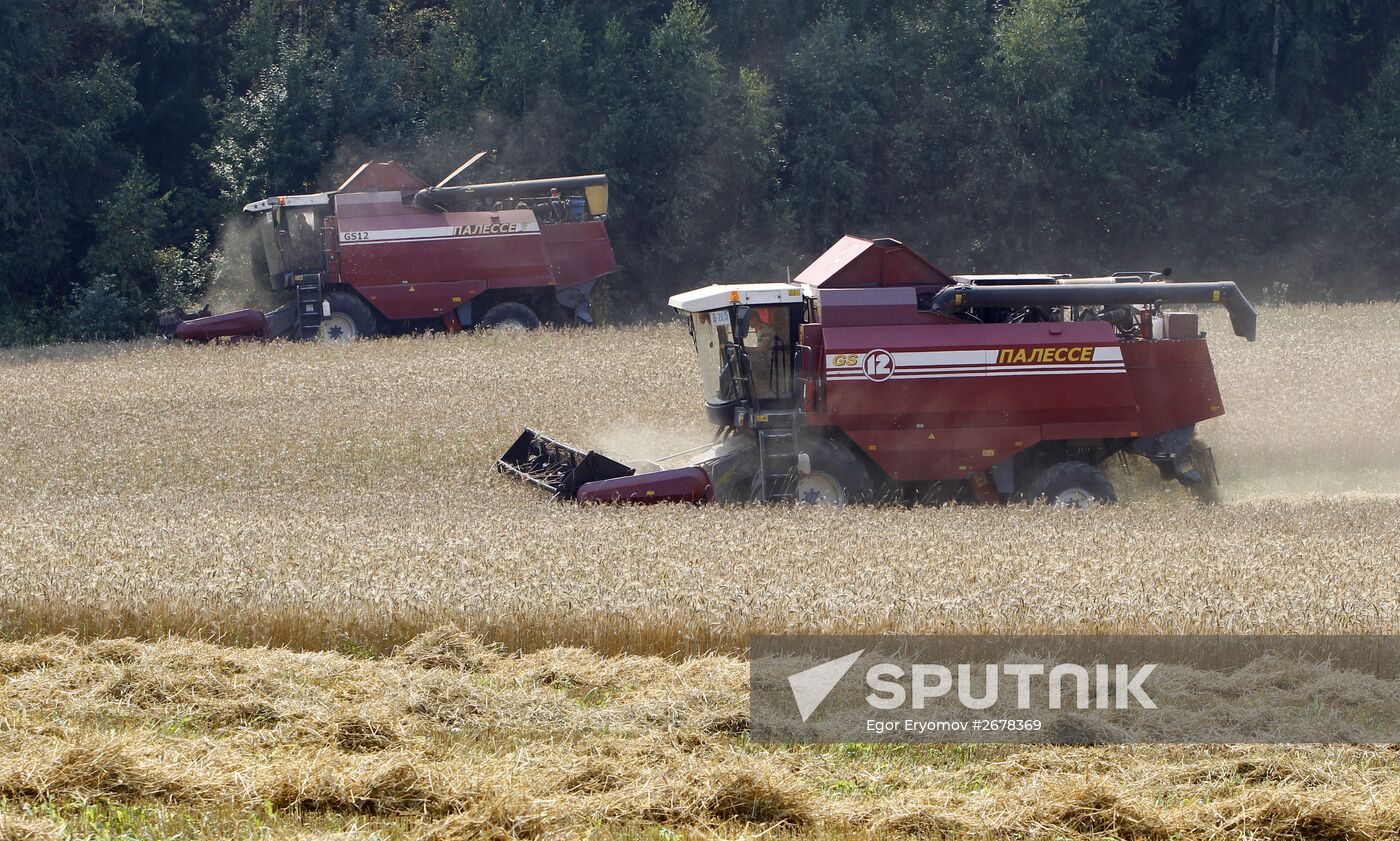 Harvesting grain in Belarus