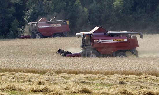 Harvesting grain in Belarus