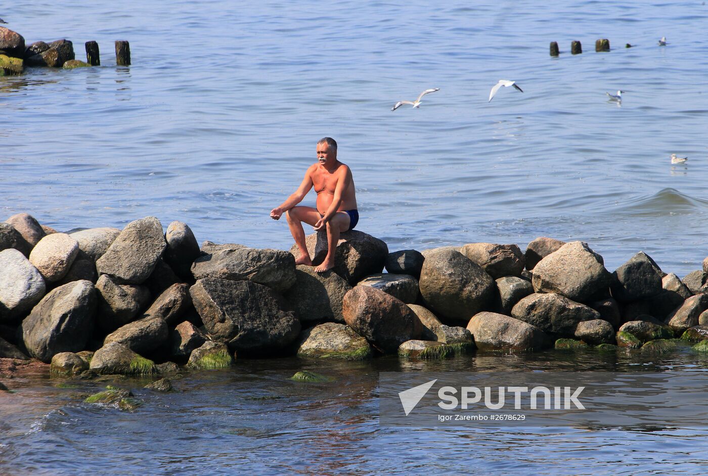 Summer vacation near the Baltic Sea