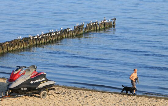 Summer vacation near the Baltic Sea