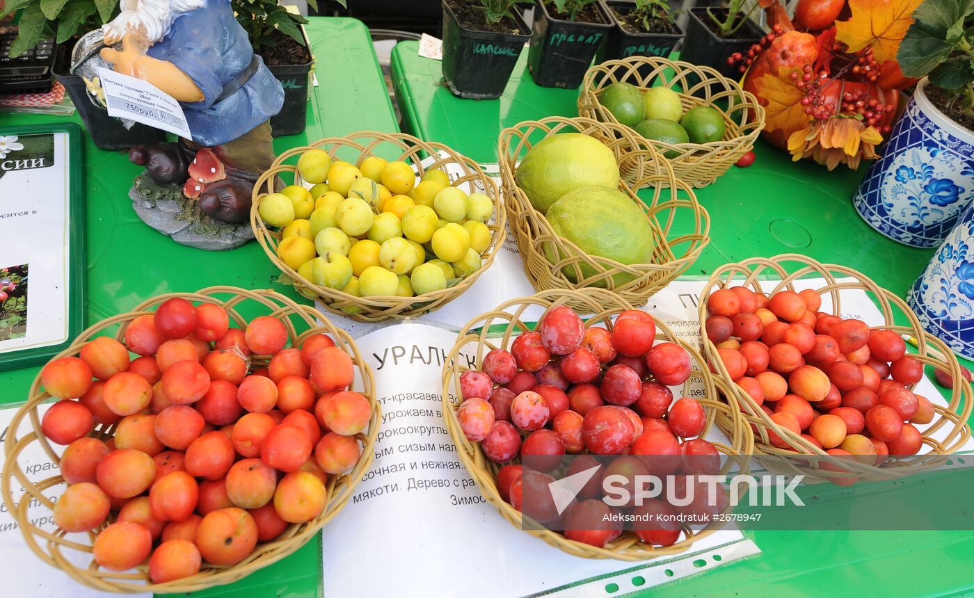 Agro 2015 exhibition in Chelyabinsk
