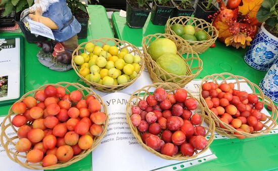 Agro 2015 exhibition in Chelyabinsk