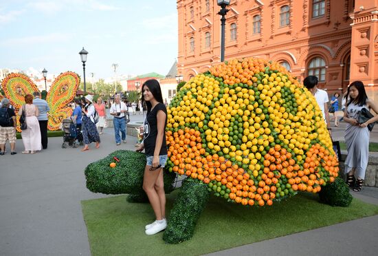 'Moscow Summer. Moscow Jam Festival' event