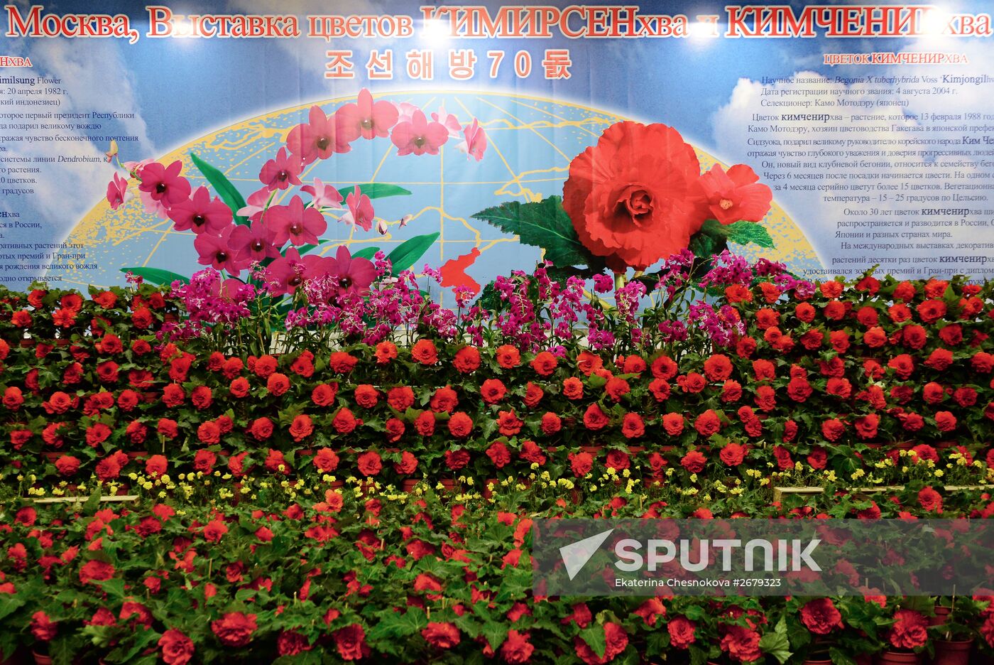 North Korean flowers displayed at the Central House of Artists