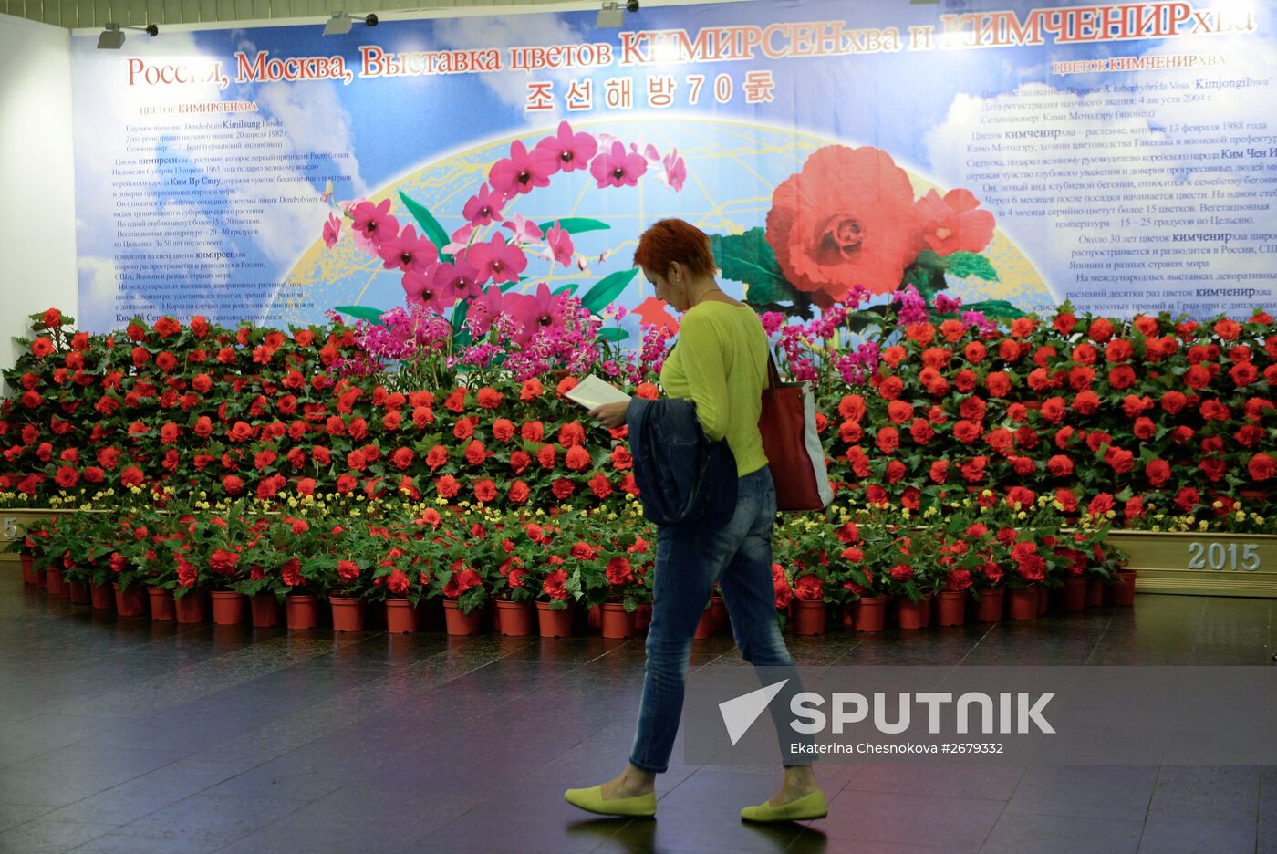 North Korean flowers displayed at the Central House of Artists