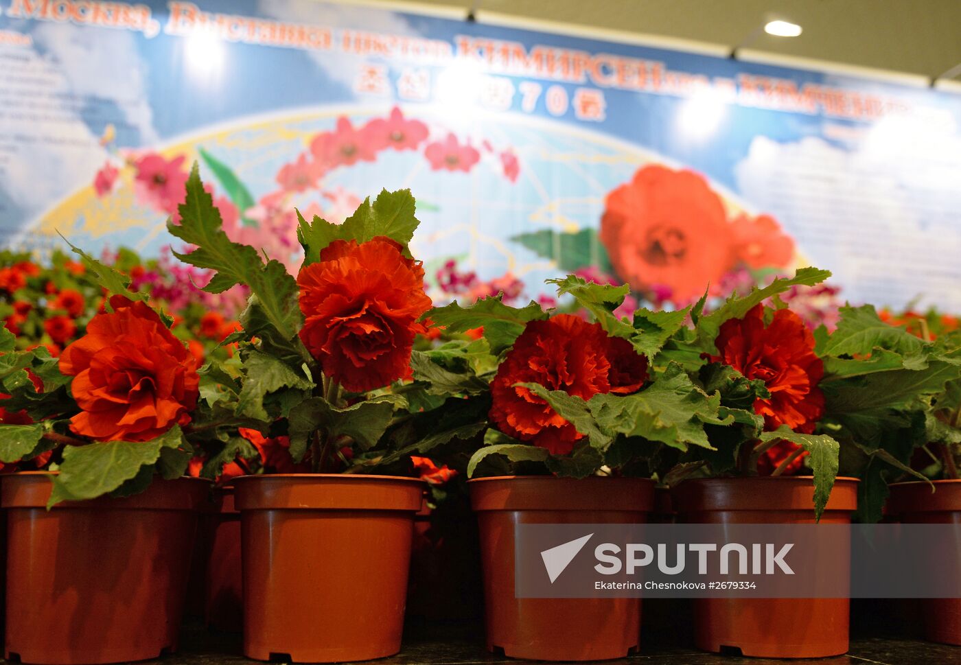 North Korean flowers displayed at the Central House of Artists