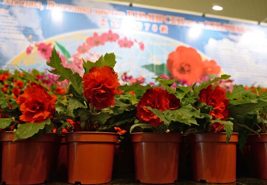 North Korean flowers displayed at the Central House of Artists