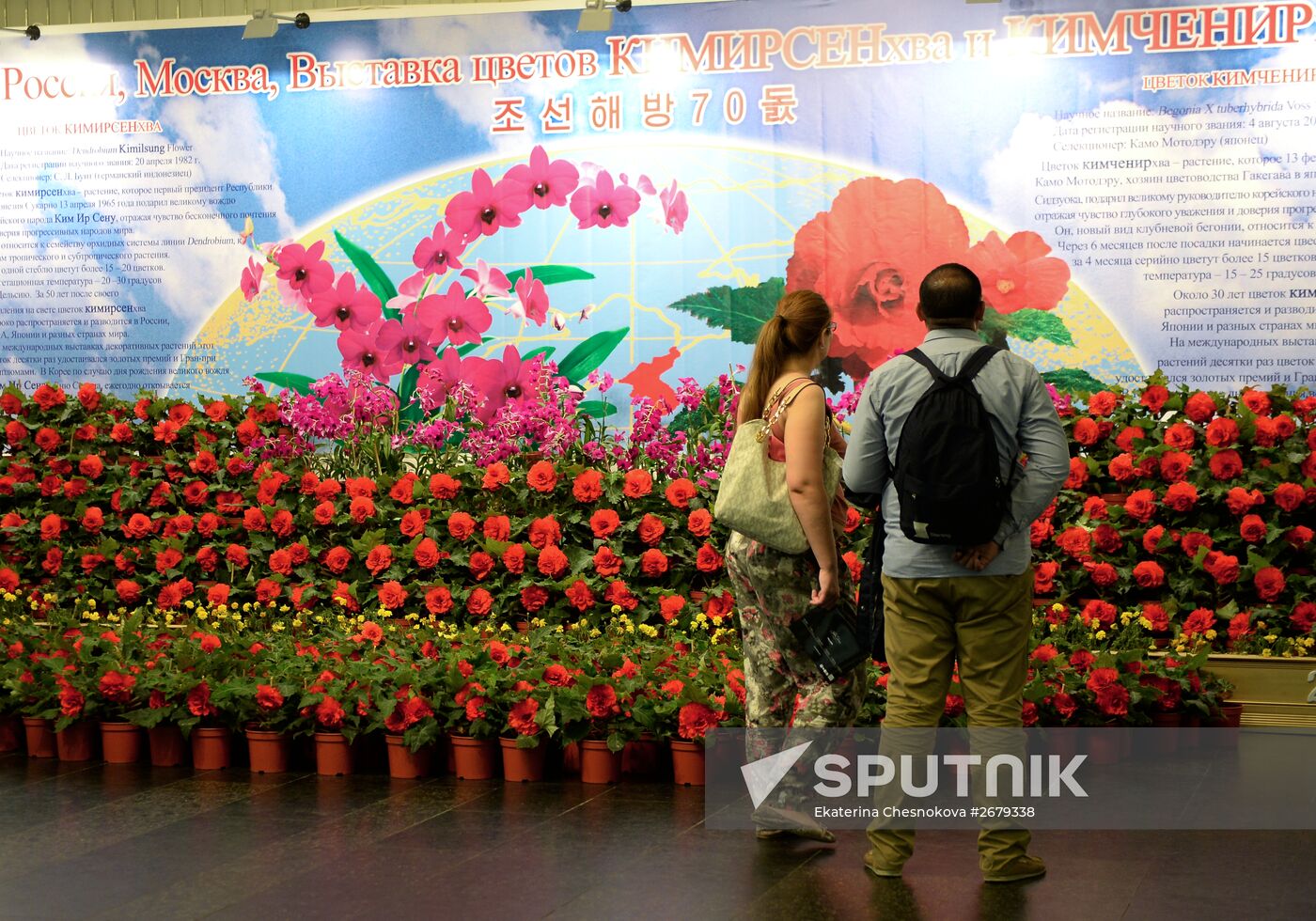North Korean flowers displayed at the Central House of Artists
