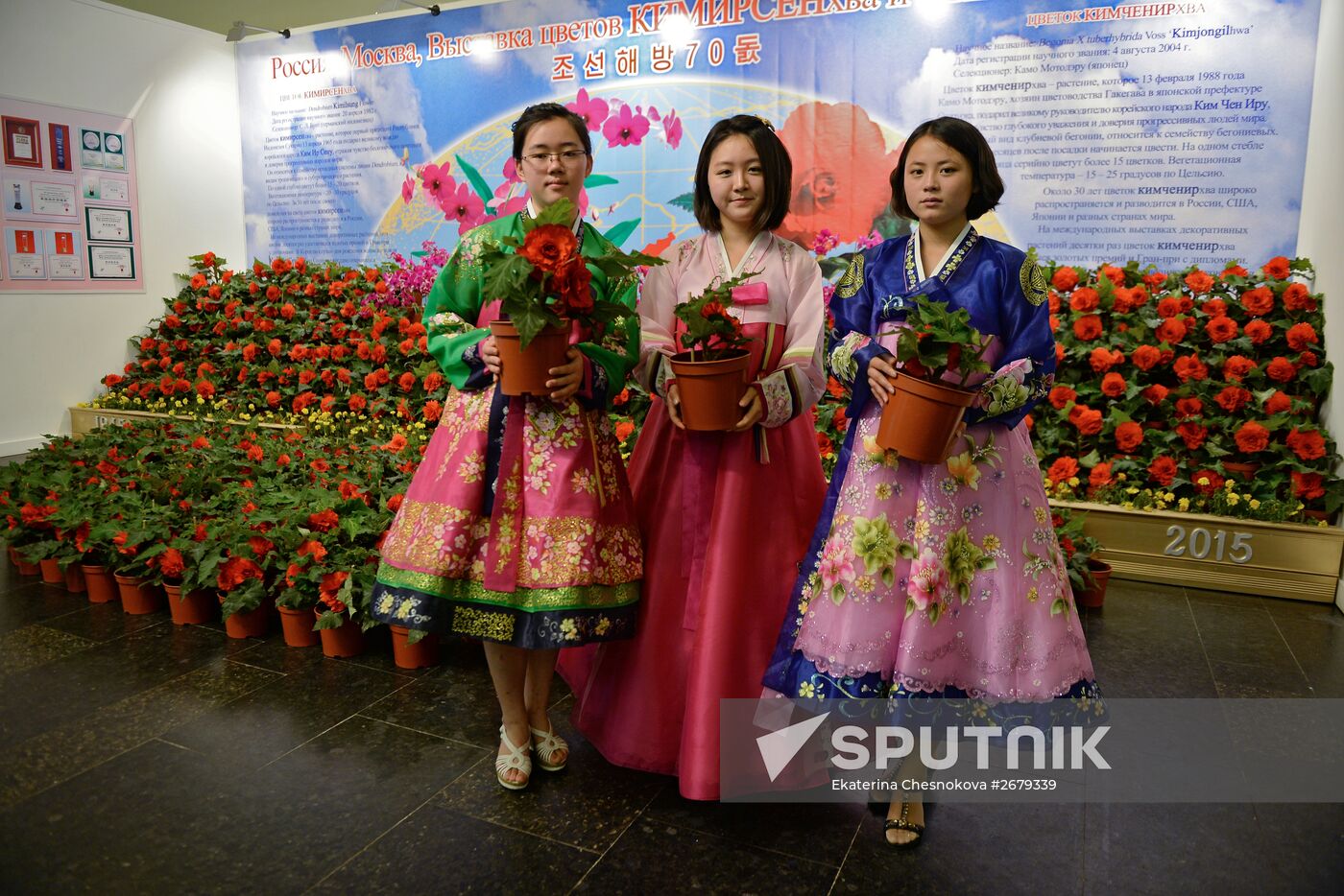 North Korean flowers displayed at the Central House of Artists