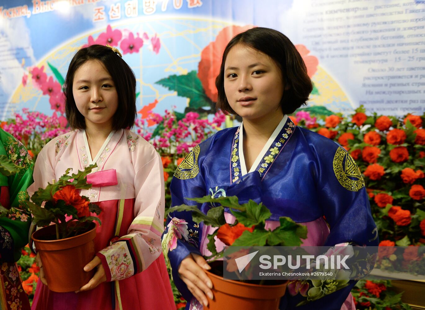 North Korean flowers displayed at the Central House of Artists