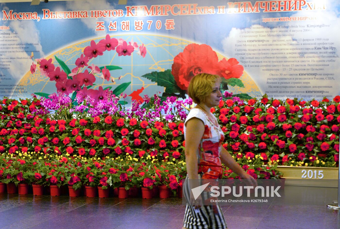 North Korean flowers displayed at the Central House of Artists