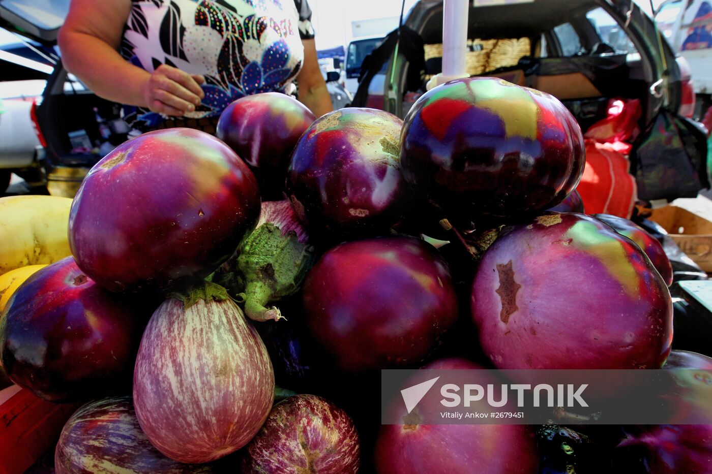 Agricultural fair in Vladivostok