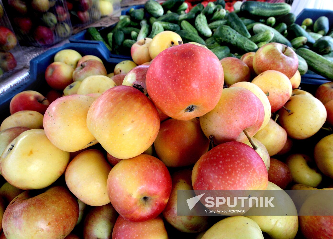 Agricultural fair in Vladivostok