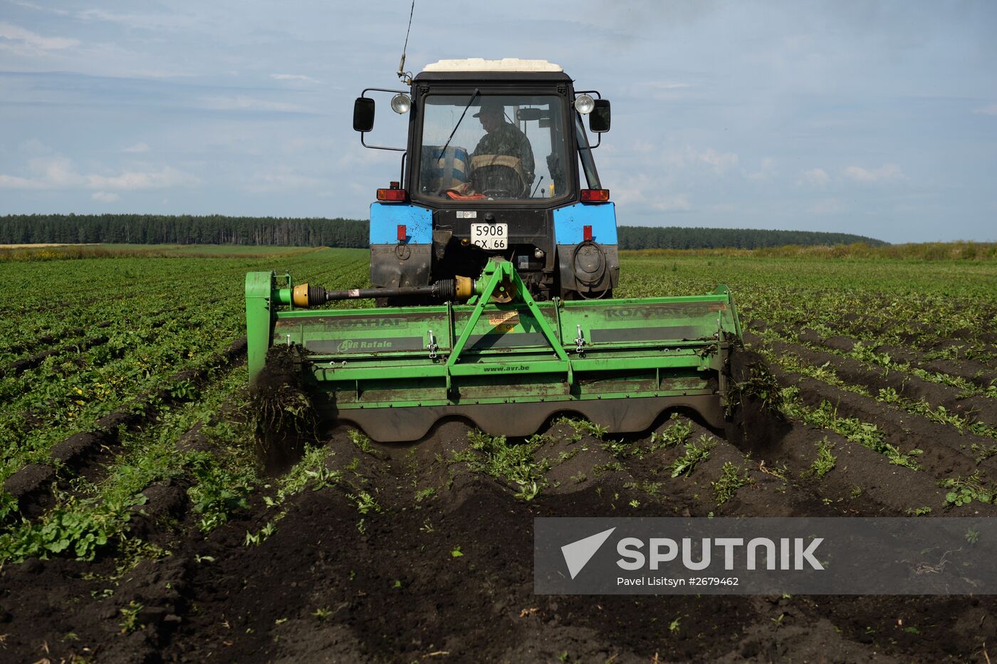 Crop harvesting in Sverdlovsk Region
