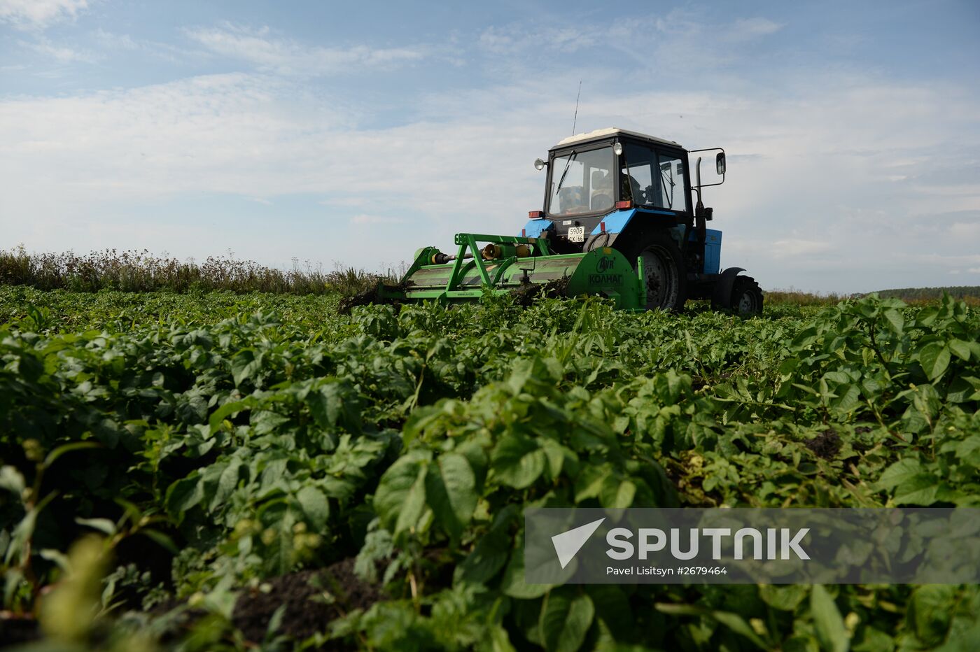 Crop harvesting in Sverdlovsk Region