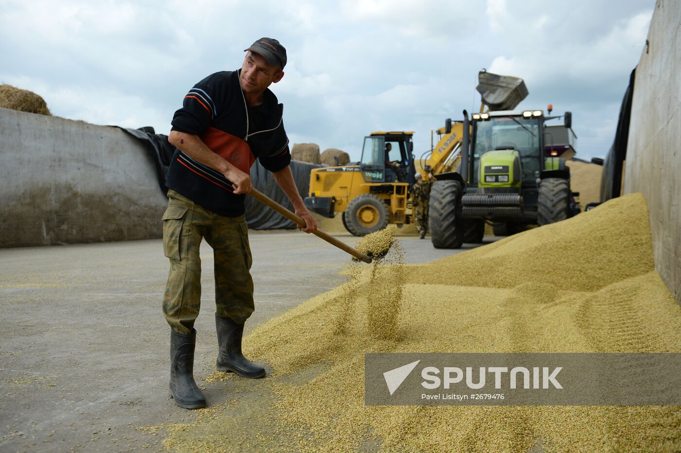 Crop harvesting in Sverdlovsk Region