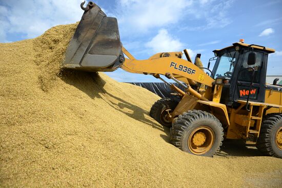 Crop harvesting in Sverdlovsk Region