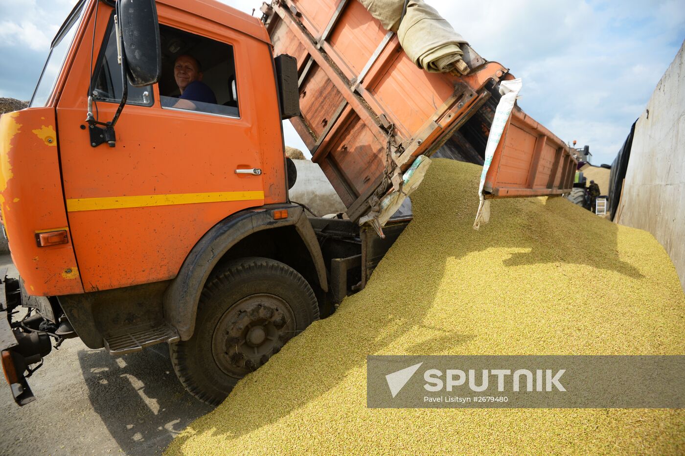 Crop harvesting in Sverdlovsk Region