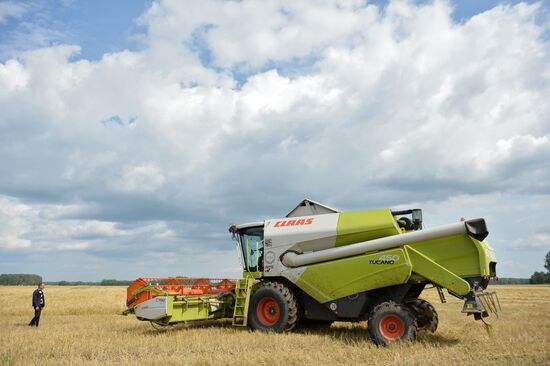 Crop harvesting in Sverdlovsk Region