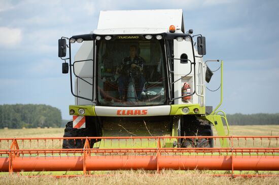 Crop harvesting in Sverdlovsk Region