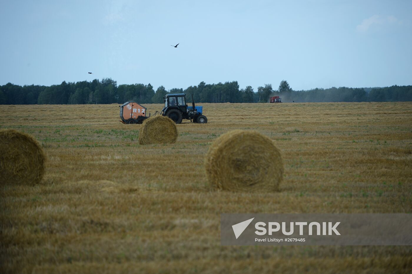 Crop harvesting in Sverdlovsk Region