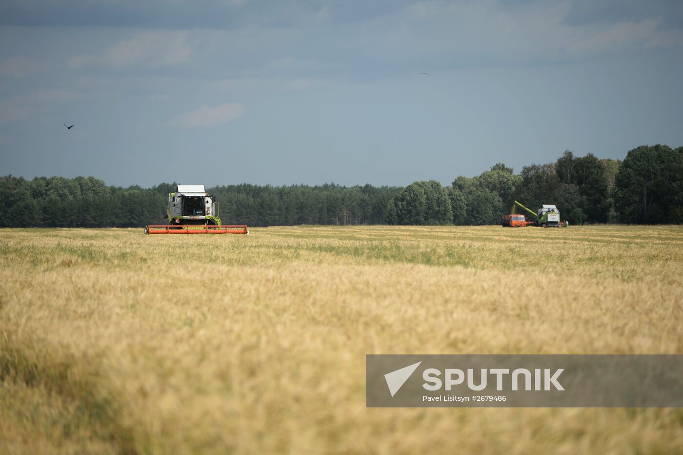 Crop harvesting in Sverdlovsk Region