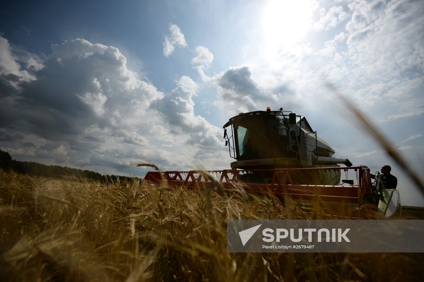 Crop harvesting in Sverdlovsk Region