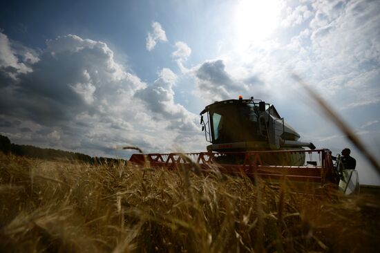 Crop harvesting in Sverdlovsk Region