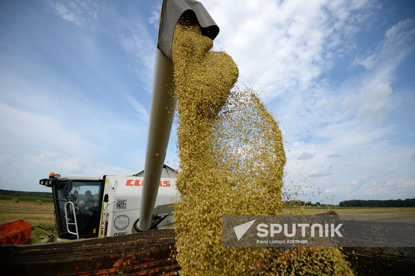 Crop harvesting in Sverdlovsk Region