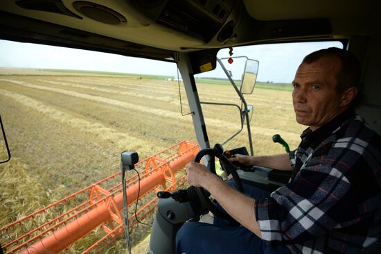 Crop harvesting in Sverdlovsk Region
