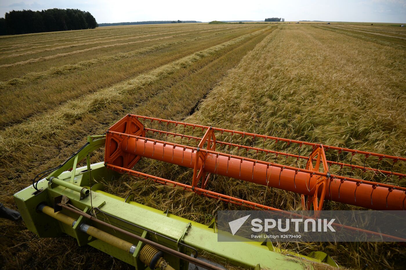 Crop harvesting in Sverdlovsk Region