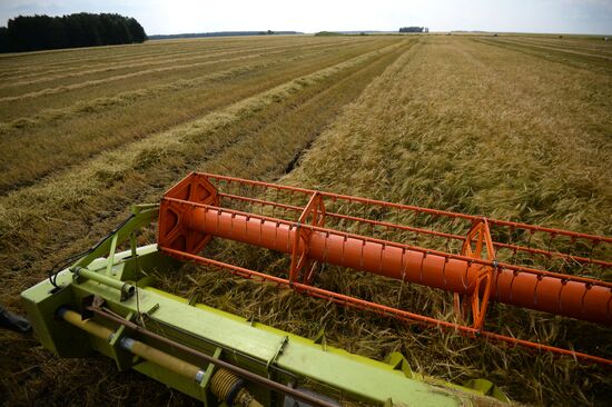 Crop harvesting in Sverdlovsk Region