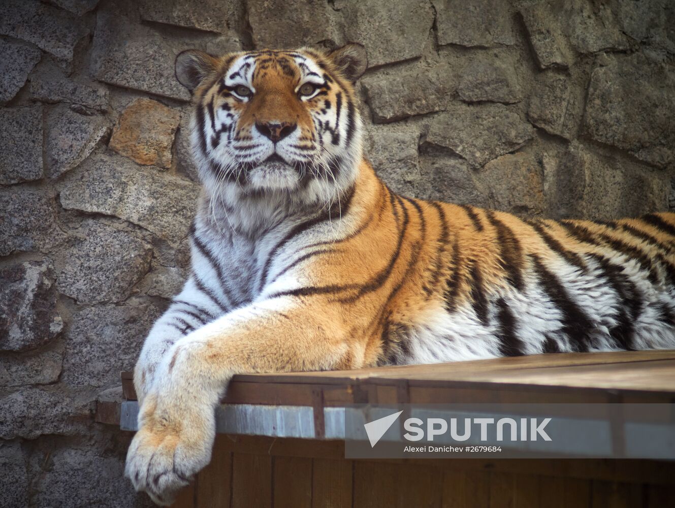 Leningrad Zoo celebrates its 150th anniversary